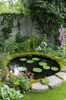 Clear and Healthy Garden Water Features across London